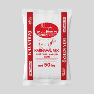Karnaval Mix Besi Yemi Tahıl Karışımı